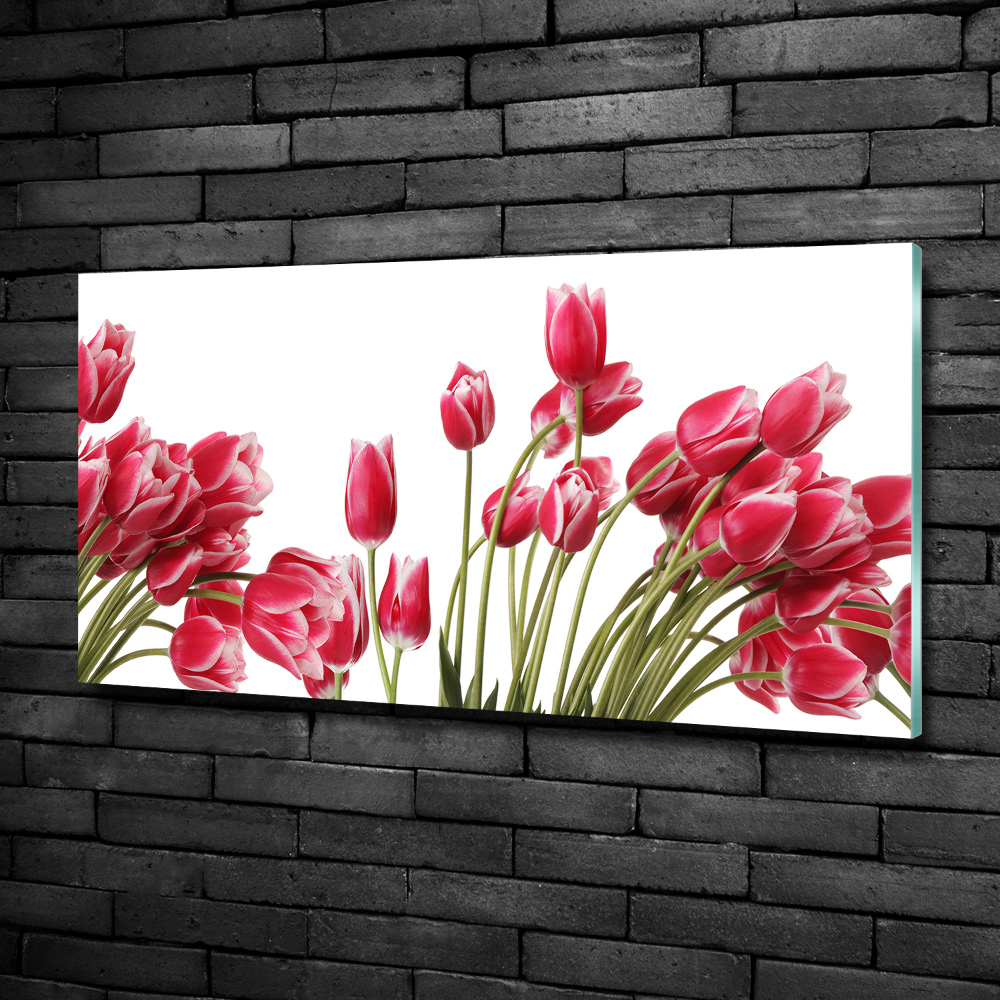 Tableau en verre Tulipes rouges