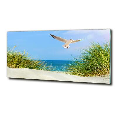 Tableau imprimé sur verre Mouette sur la plage