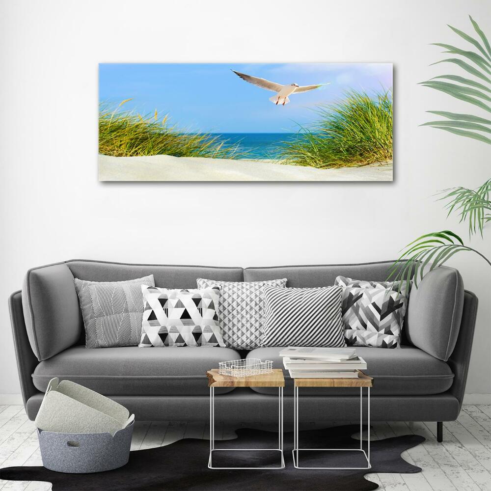 Tableau imprimé sur verre Mouette sur la plage