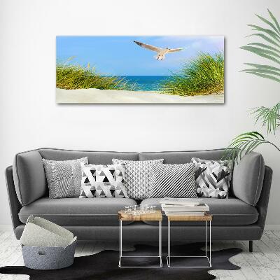 Tableau imprimé sur verre Mouette sur la plage