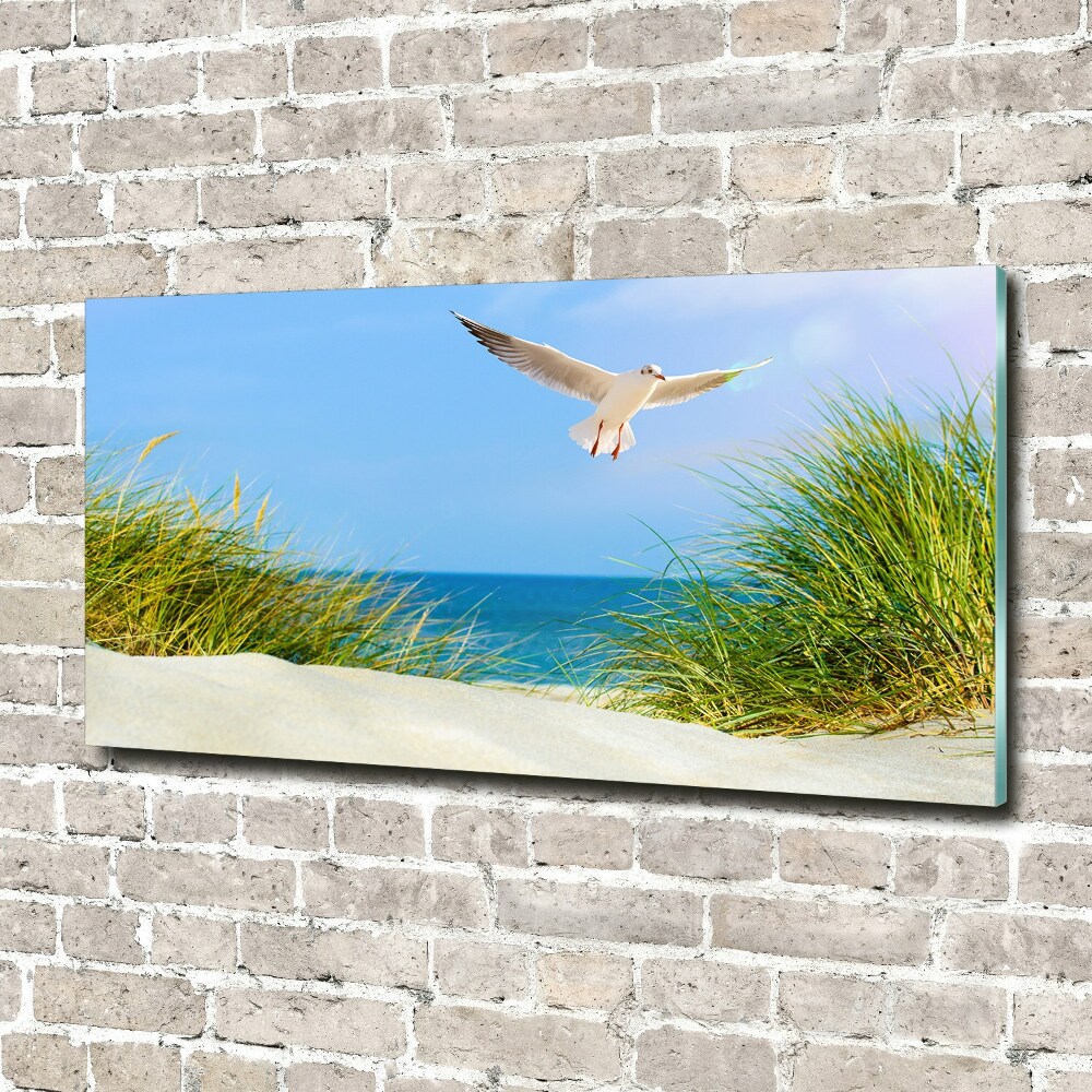 Tableau imprimé sur verre Mouette sur la plage