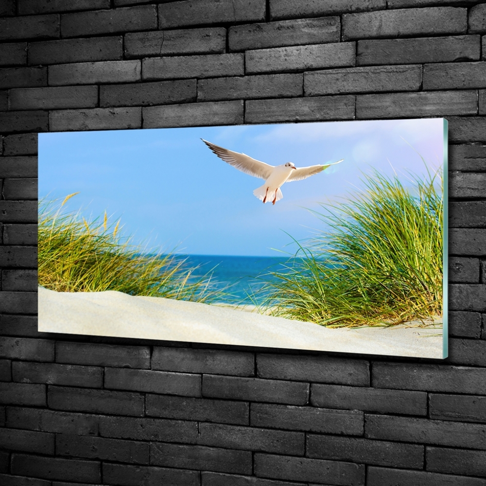 Tableau imprimé sur verre Mouette sur la plage