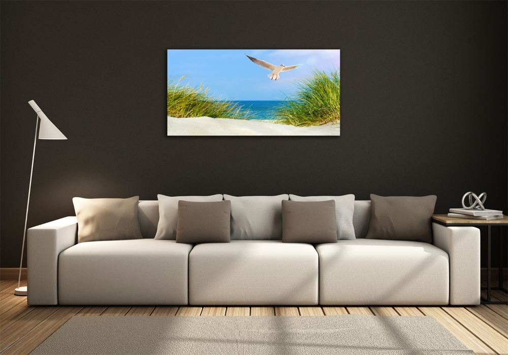 Tableau imprimé sur verre Mouette sur la plage