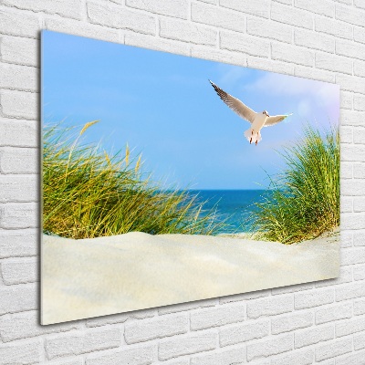 Tableau imprimé sur verre Mouette sur la plage