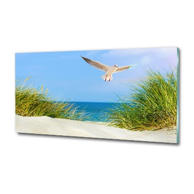 Tableau imprimé sur verre Mouette sur la plage