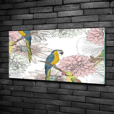 Tableau photo sur verre Perroquets et fleurs