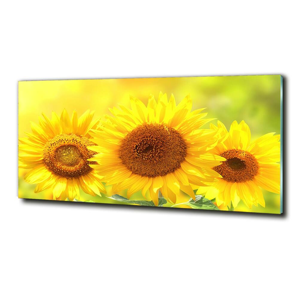 Tableau en verre Plante de tournesol