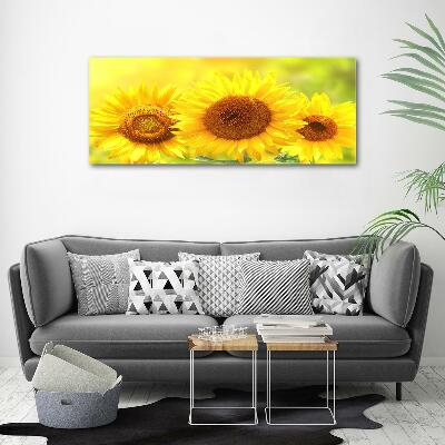 Tableau en verre Plante de tournesol