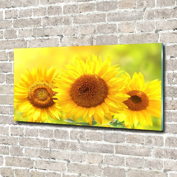Tableau en verre Plante de tournesol