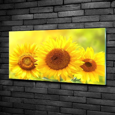 Tableau en verre Plante de tournesol