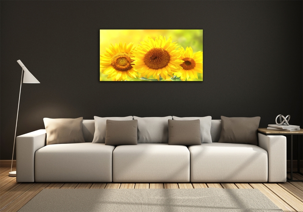 Tableau en verre Plante de tournesol