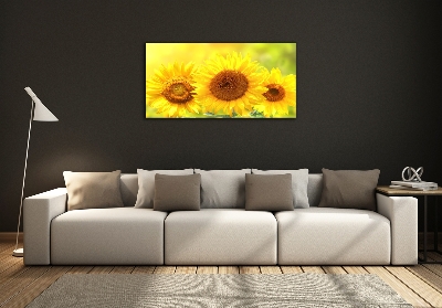 Tableau en verre Plante de tournesol