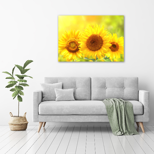 Tableau en verre Plante de tournesol