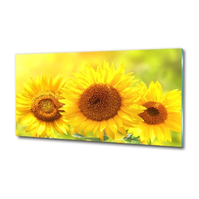 Tableau en verre Plante de tournesol