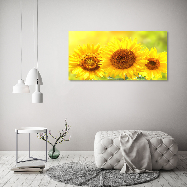 Tableau en verre Plante de tournesol
