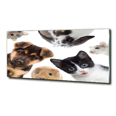 Tableau en verre Animaux de compagnie