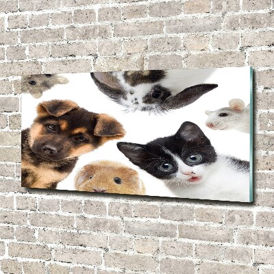 Tableau en verre Animaux de compagnie