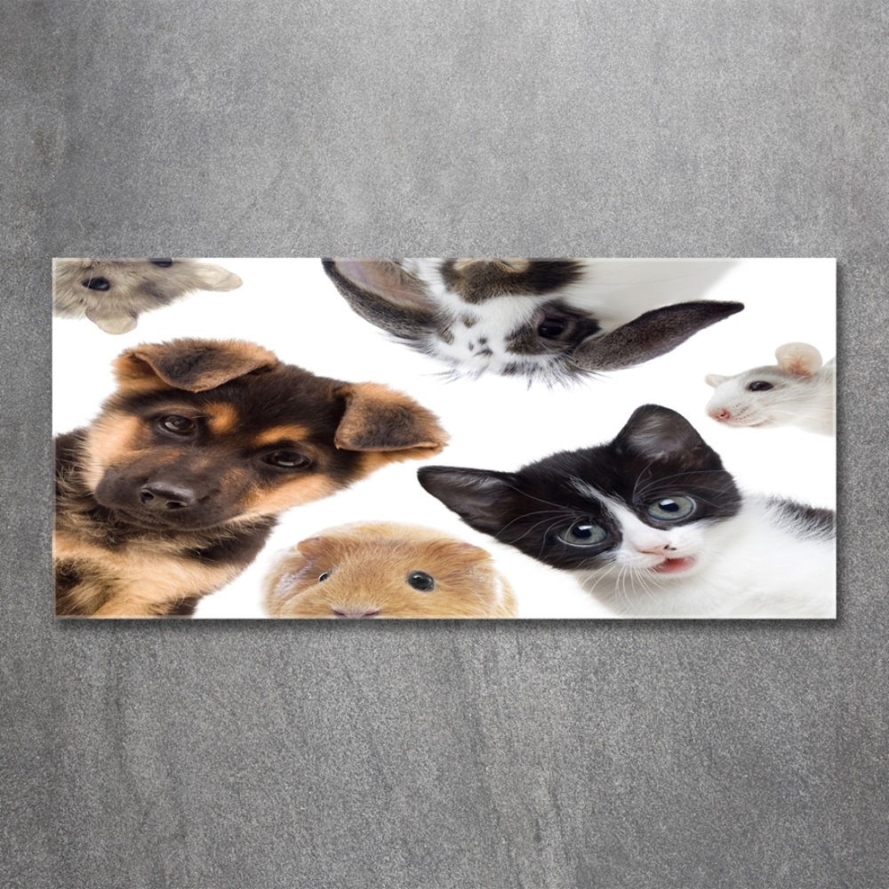 Tableau en verre Animaux de compagnie