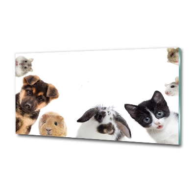 Tableau sur verre Animaux de compagnie