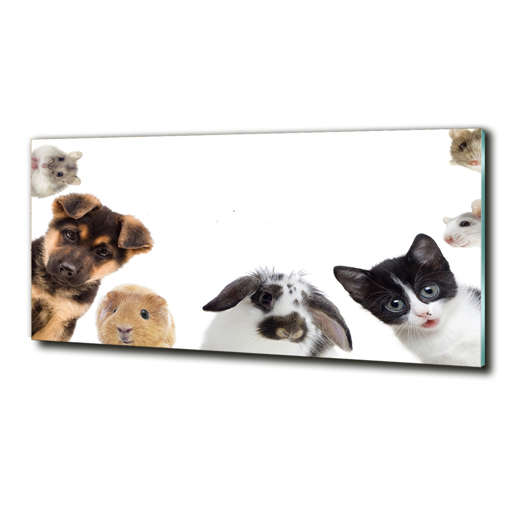 Tableau sur verre Animaux de compagnie