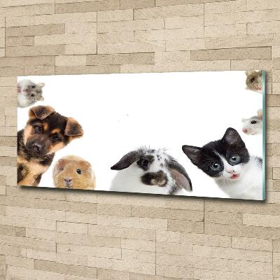 Tableau sur verre Animaux de compagnie