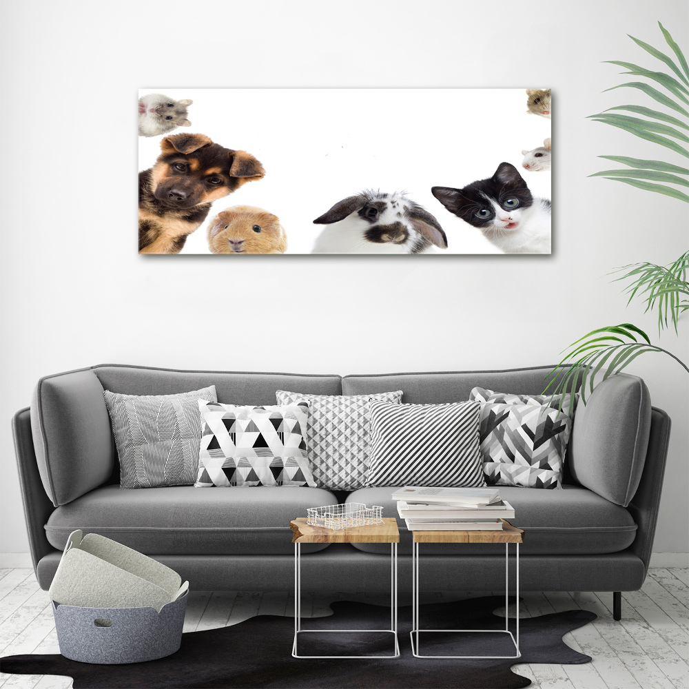 Tableau sur verre Animaux de compagnie