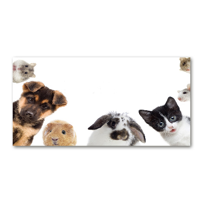 Tableau sur verre Animaux de compagnie