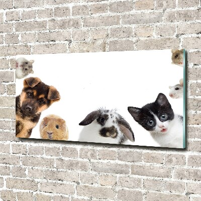 Tableau sur verre Animaux de compagnie