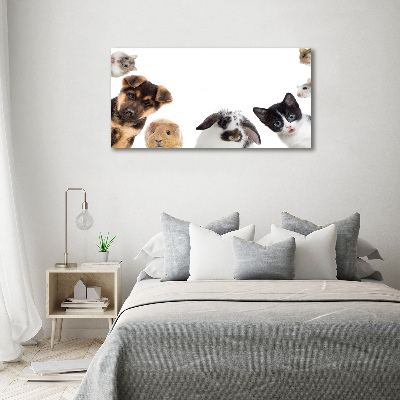 Tableau sur verre Animaux de compagnie