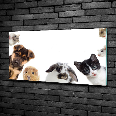 Tableau sur verre Animaux de compagnie