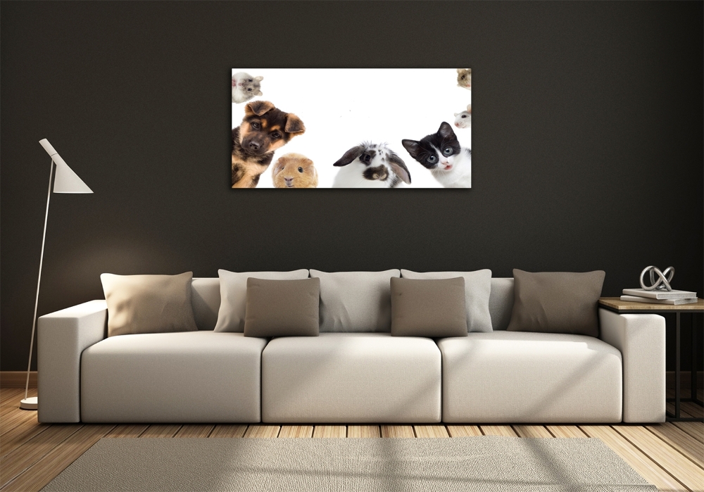 Tableau sur verre Animaux de compagnie