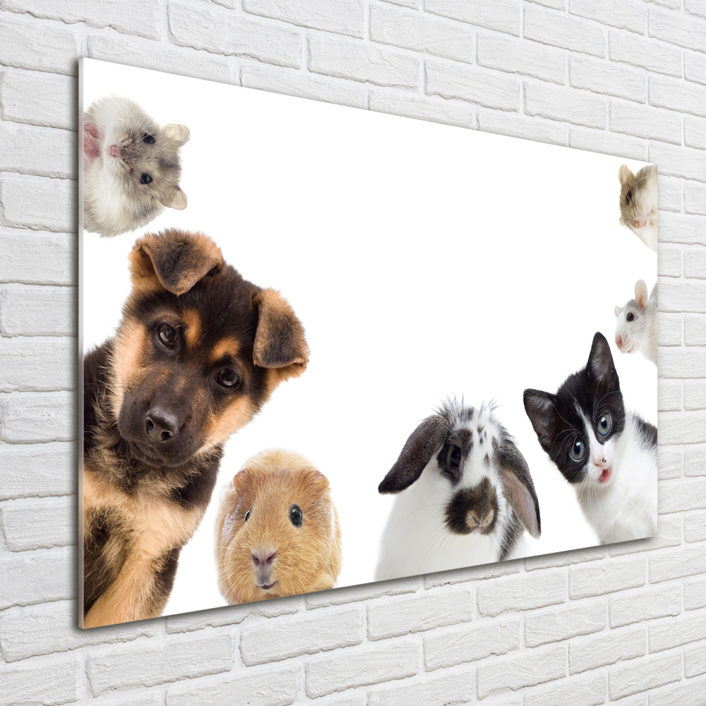 Tableau sur verre Animaux de compagnie