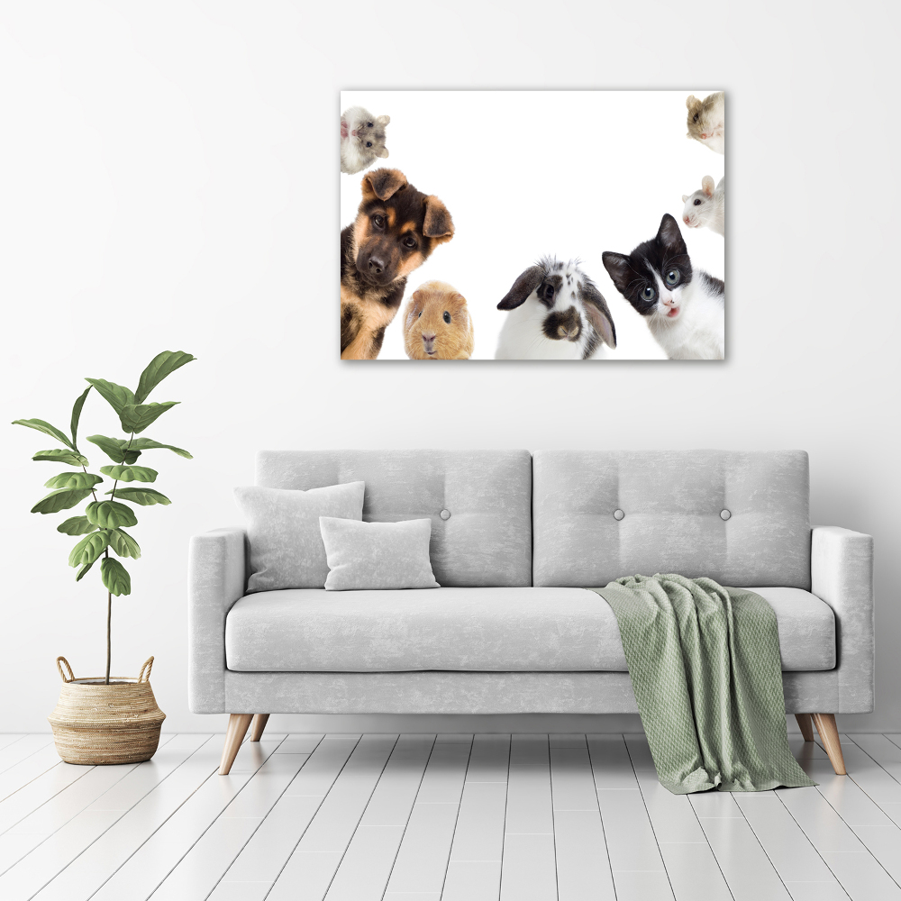 Tableau sur verre Animaux de compagnie