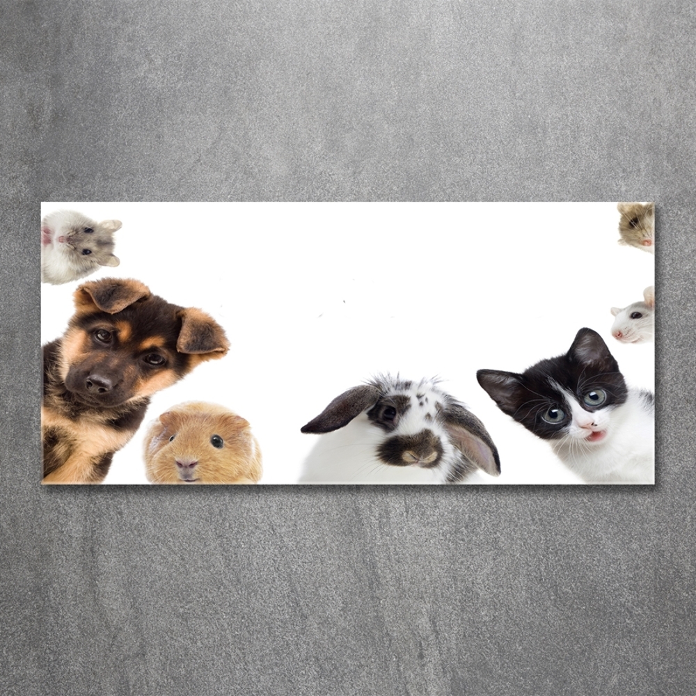 Tableau sur verre Animaux de compagnie