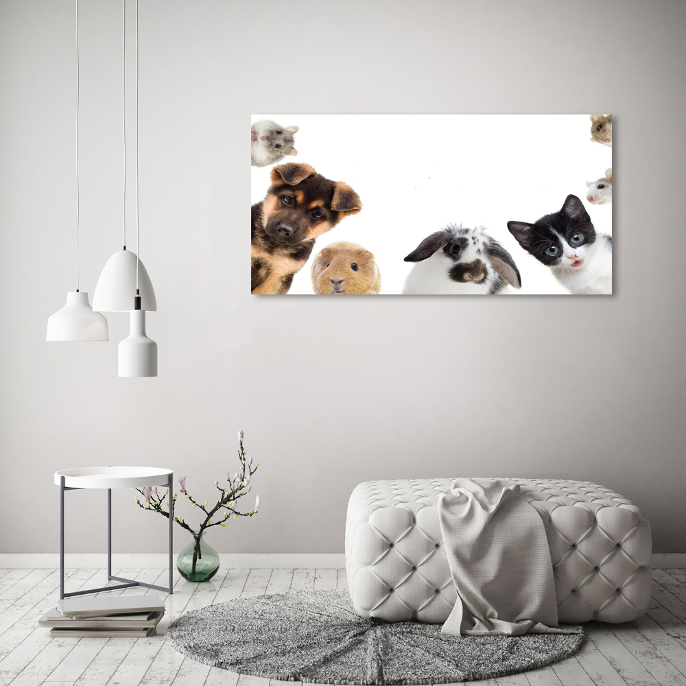 Tableau sur verre Animaux de compagnie