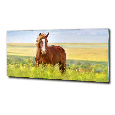 Tableau en verre Cheval brun