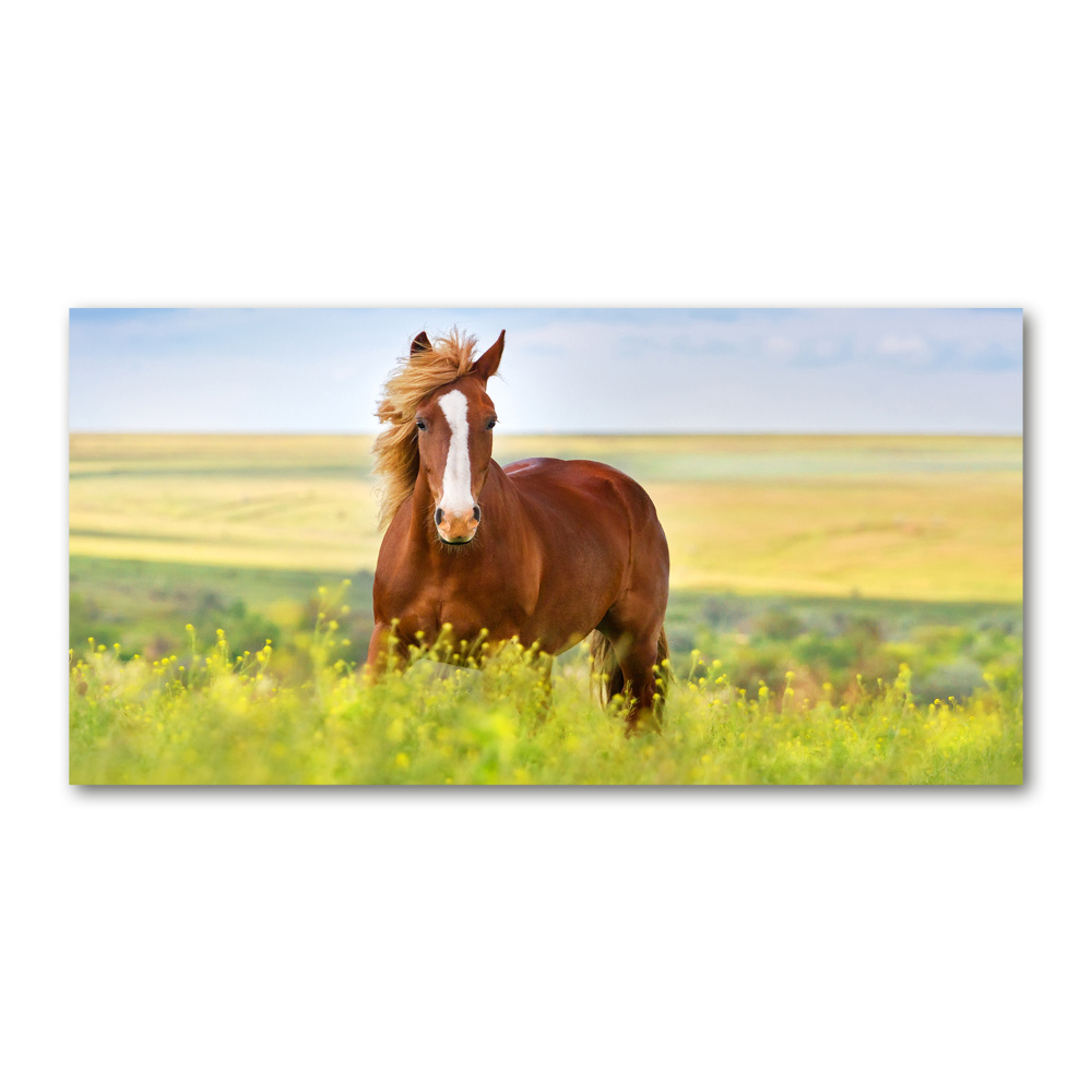 Tableau en verre Cheval brun