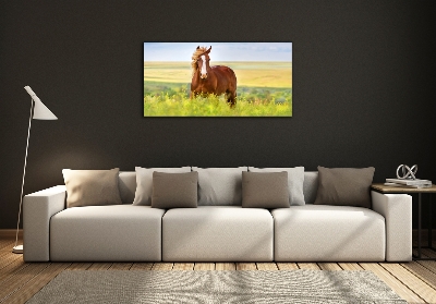 Tableau en verre Cheval brun