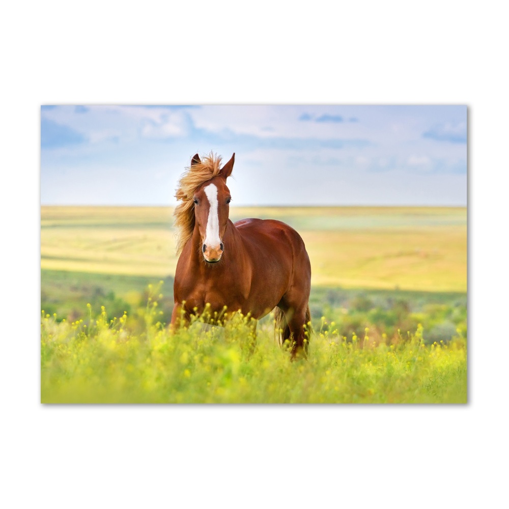 Tableau en verre Cheval brun