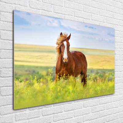 Tableau en verre Cheval brun