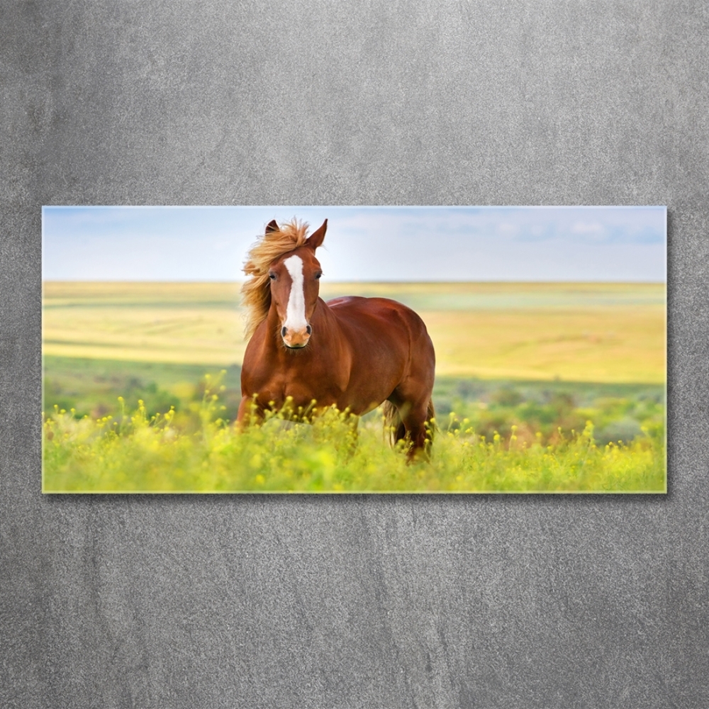 Tableau en verre Cheval brun