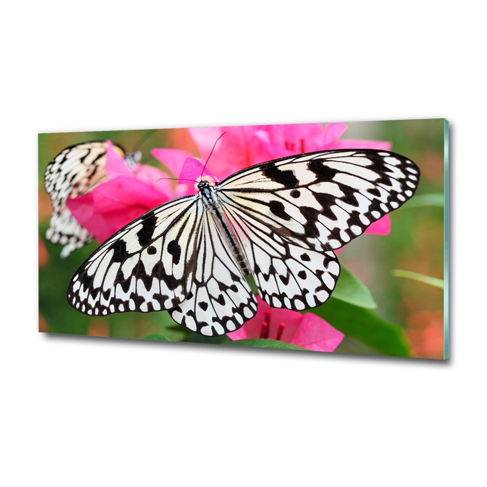 Tableau imprimé sur verre Papillon sur une fleur