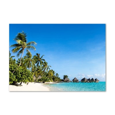 Tableau photo sur verre Plage dans les Caraïbes