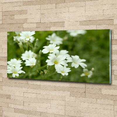 Tableau photo sur verre Fleurs de printemps