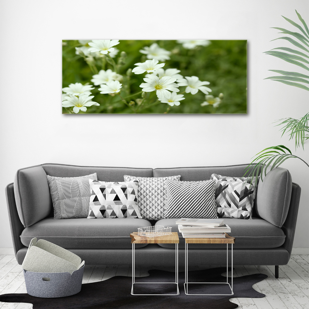 Tableau photo sur verre Fleurs de printemps