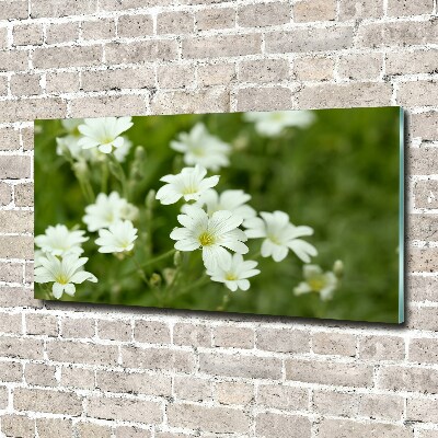 Tableau photo sur verre Fleurs de printemps