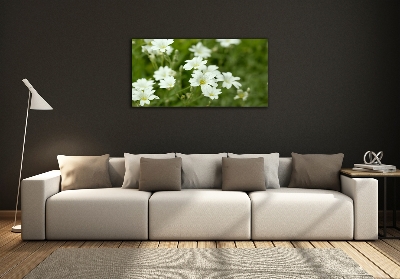 Tableau photo sur verre Fleurs de printemps