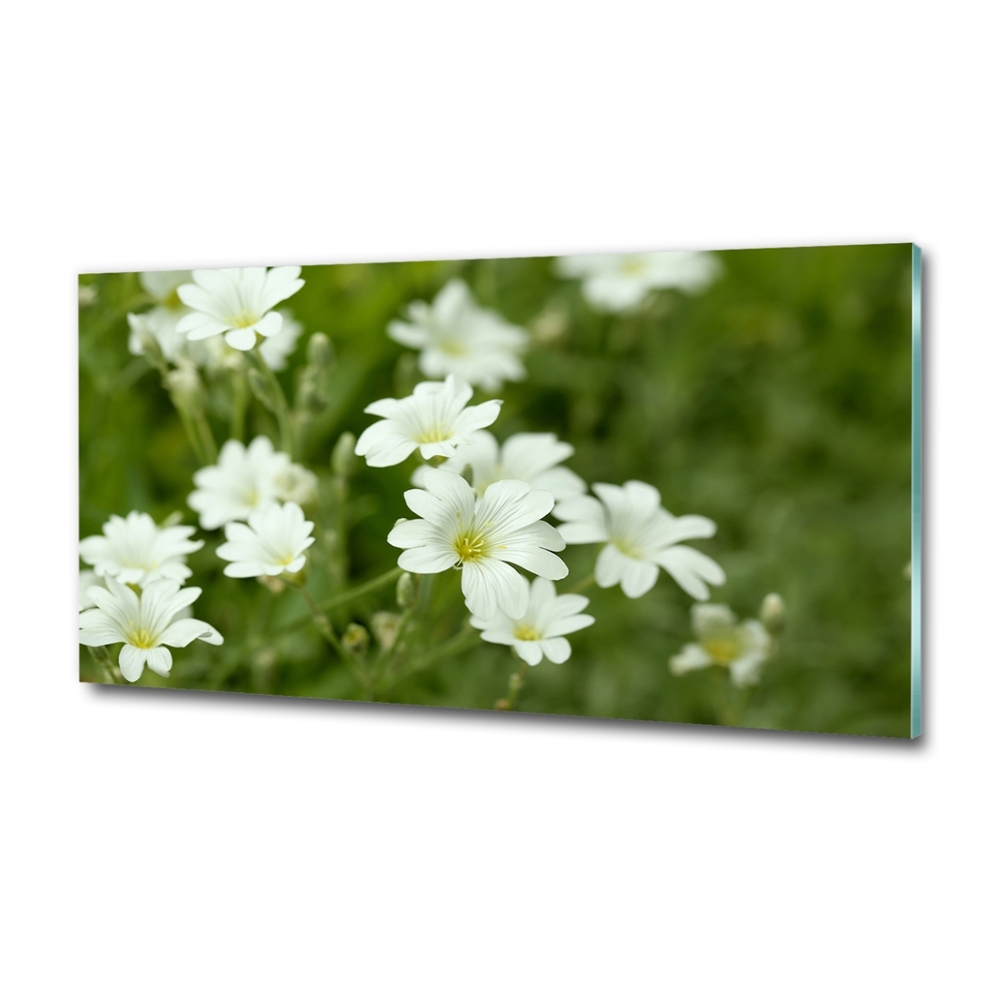 Tableau photo sur verre Fleurs de printemps