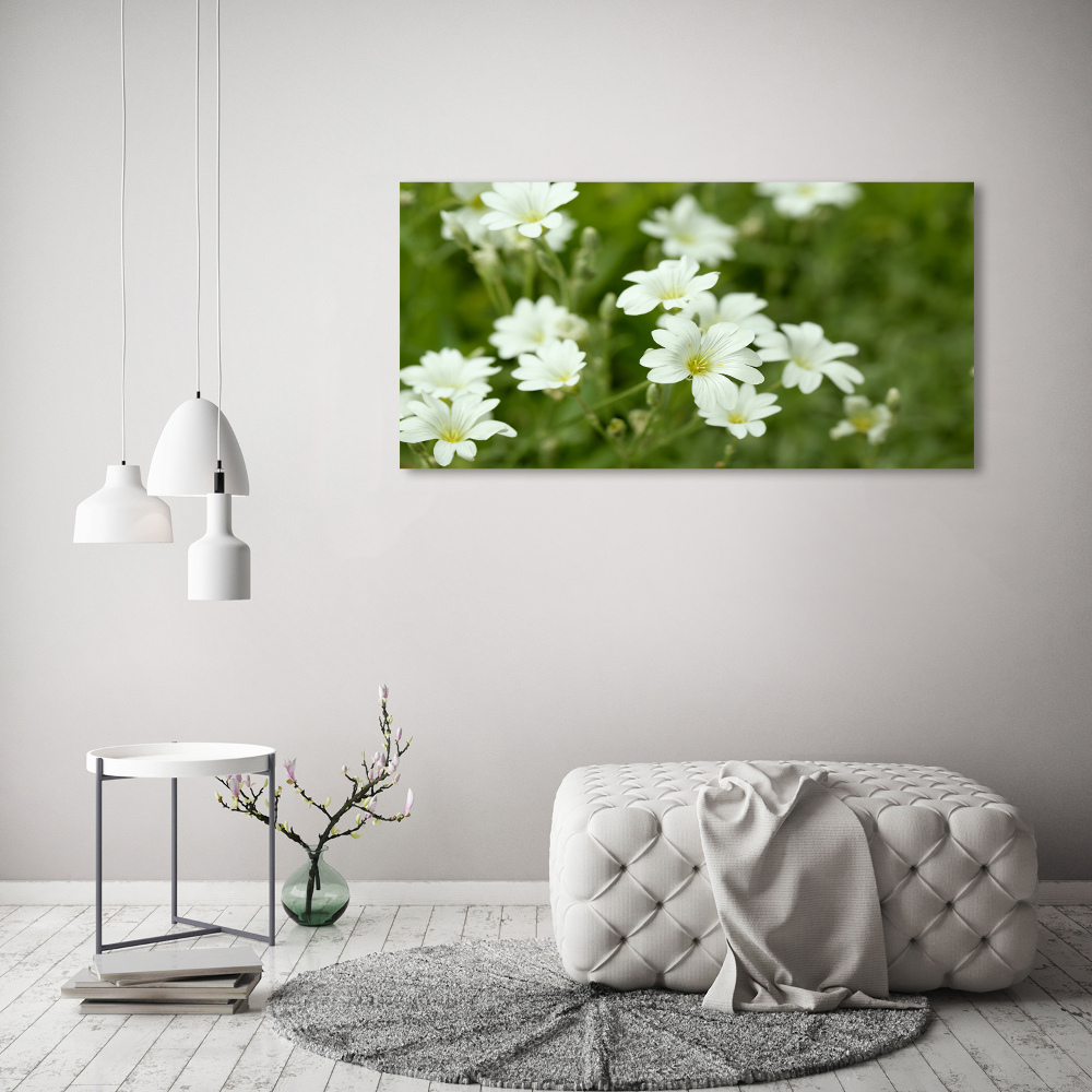 Tableau photo sur verre Fleurs de printemps