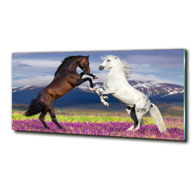 Tableau sur verre Combat de chevaux en montagne